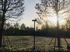 -上海市龙华烈士陵园