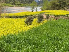 -楠溪江风景名胜区