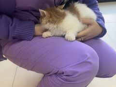 -宠福鑫动物医院(城北分院)