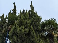 -安徽八里河旅游区