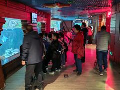 -太平洋海底世界