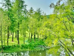 -东莞植物园