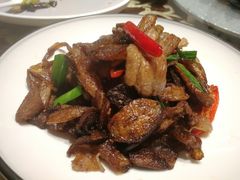 -见山书院