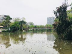 -金山公园