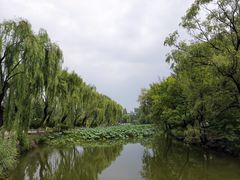 -近春园遗址