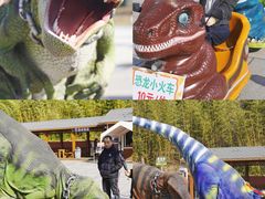 -中国西峡恐龙遗迹园