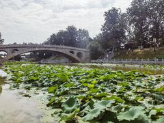 -赵州桥景区