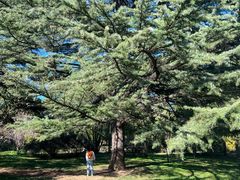 -国家植物园南园