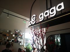-gaga(深圳南山益田假日广场店)