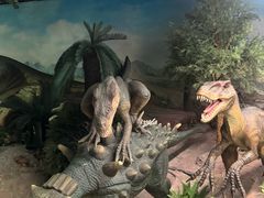 -国家自然博物馆