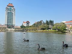 -厦门大学(思明校区)