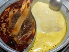 -青瓷火锅料理(西单大悦城店)