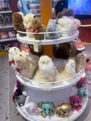 -kidsland(颐堤港店)