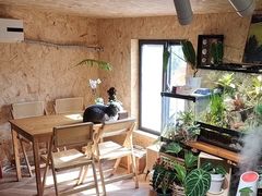 -Rabbit Cafe私房西餐甜点咖啡(栖霞路店)