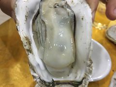 -蚝专家(北滘店)