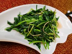 清炒板蓝根-云和祥食府·特色云南菜(金碧公园店)