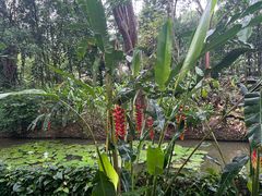 -中国科学院西双版纳热带植物园