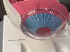 -武汉大学附属爱尔眼科医院(湖北总院)