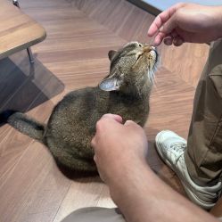 -优刻西服西装定制(金轮国际广场店)