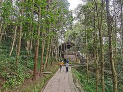 -凤栖山