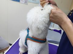 -美联众合动物医院·24h京西诊疗中心