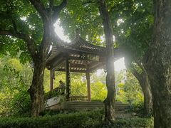 -四海公园(南山区)
