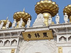 -上海东林寺(金山区)