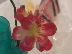 -云尊府云南菜·蒸汽石锅鱼(学清路店)