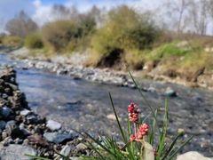 -常州奔牛国际机场