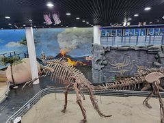 -吉林省自然博物馆