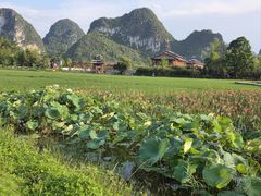 -靖西鹅泉风景区