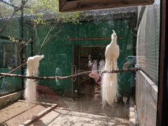 -沈阳鸟岛