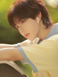 -IDOL-PLUS