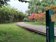 -西安浐灞国家湿地公园