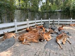 -北京野生动物园