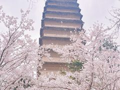 -西安博物院