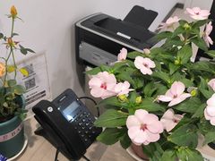 -上海嘉宁·心理咨询中心