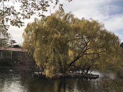 景点-北京动物园