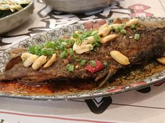 -酒阳蒸经小酒馆(解放碑店)