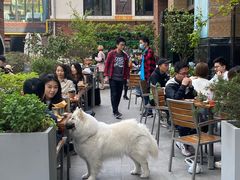 -JUJU韩式烤肉·干杯小酒馆