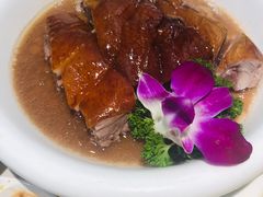 -鼎记啫啫煲(数博万达店)