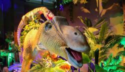 -恐龙探索乐园(磁器口店)