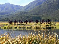 -腾冲北海湿地