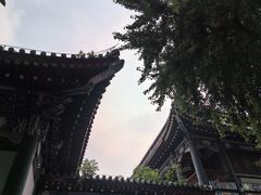 -国家图书馆·古籍馆