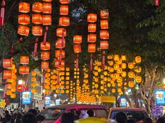 -越秀西湖花市(广州城市广场花卉店)