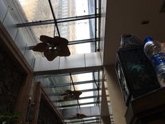 -真爱健身运动俱乐部(万科金域曲江店)
