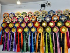 -青奢宠物·青奢猫舍