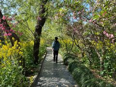 -南汇桃花村