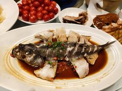 -眉州东坡(博雅店)
