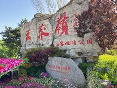 -王莽岭风景区